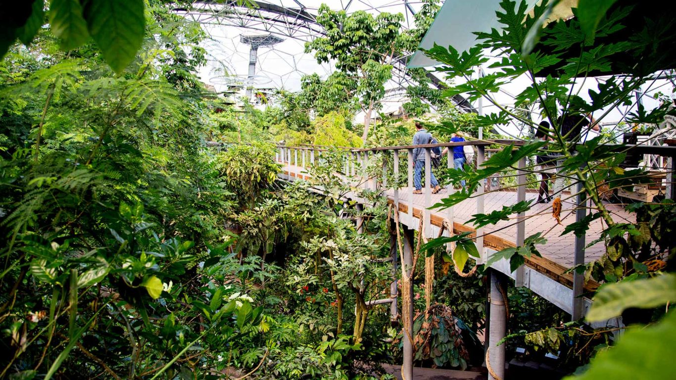 eden-project-attractions-01