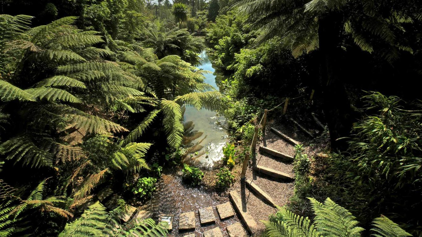 lost-gardens-of-heligan-jungle