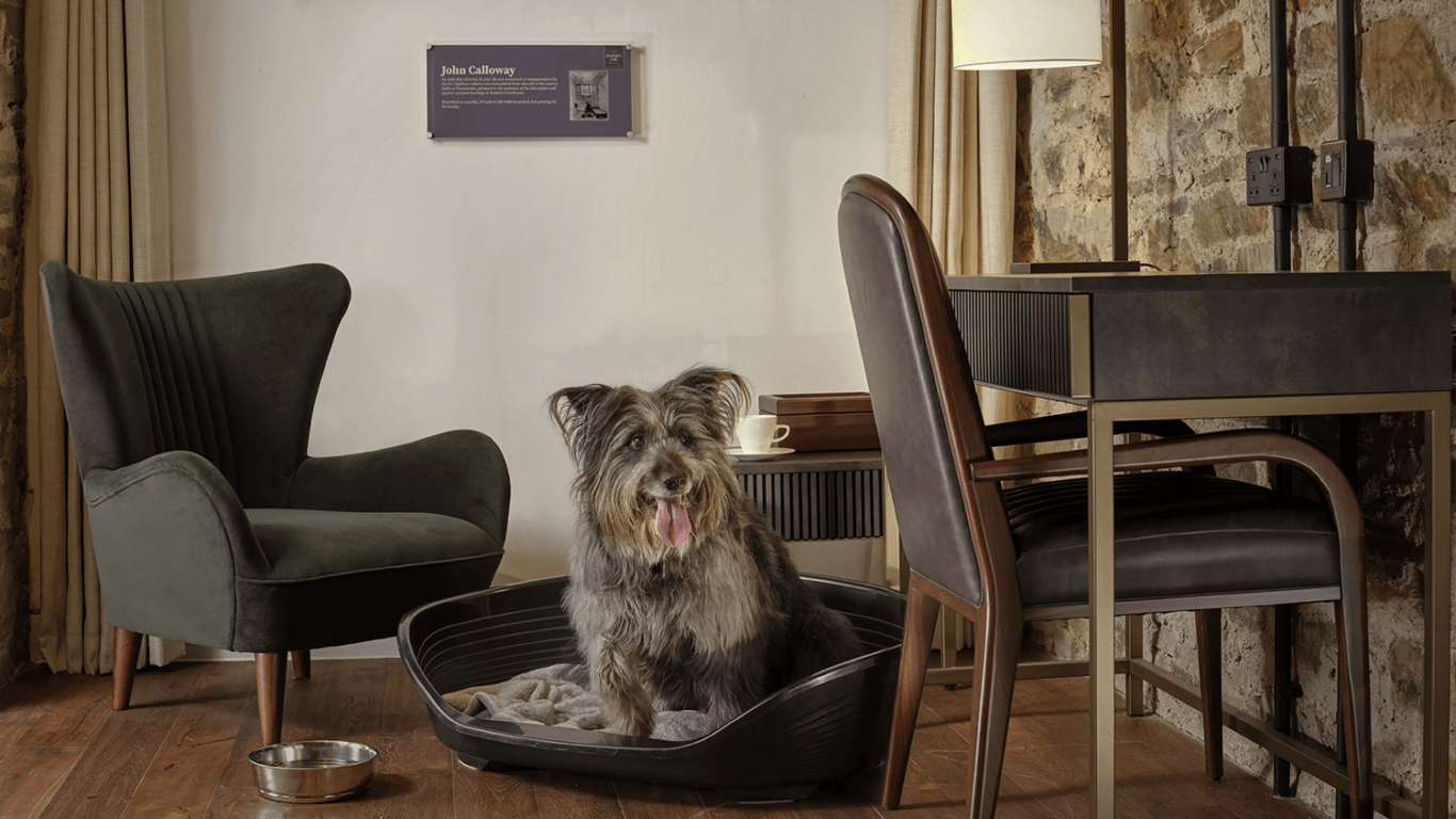 Dog-friendly-cells-The-Bodmin-Jail-Hotel-2